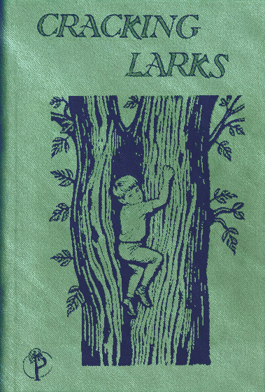 Cracking Larks 1928